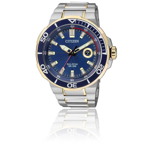 Ecodrive Endeavor AW142462L Citizen Ocarat