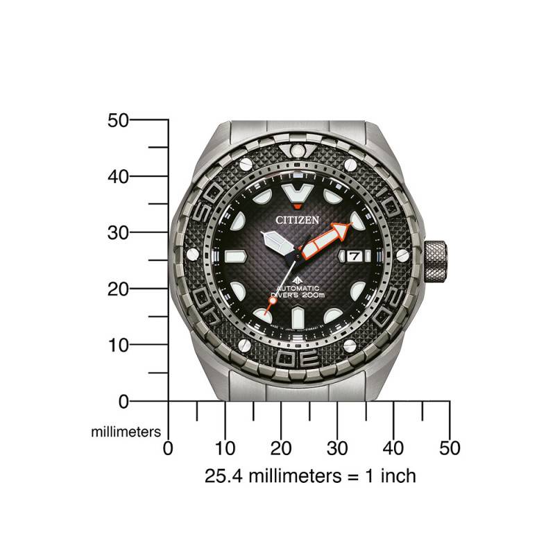 Citizen Promaster Mechanical Diver 200m NB6004 - Introducing, Price
